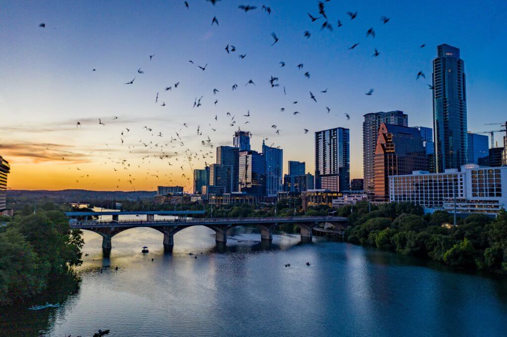best views in Austin: Congress Bridge bats