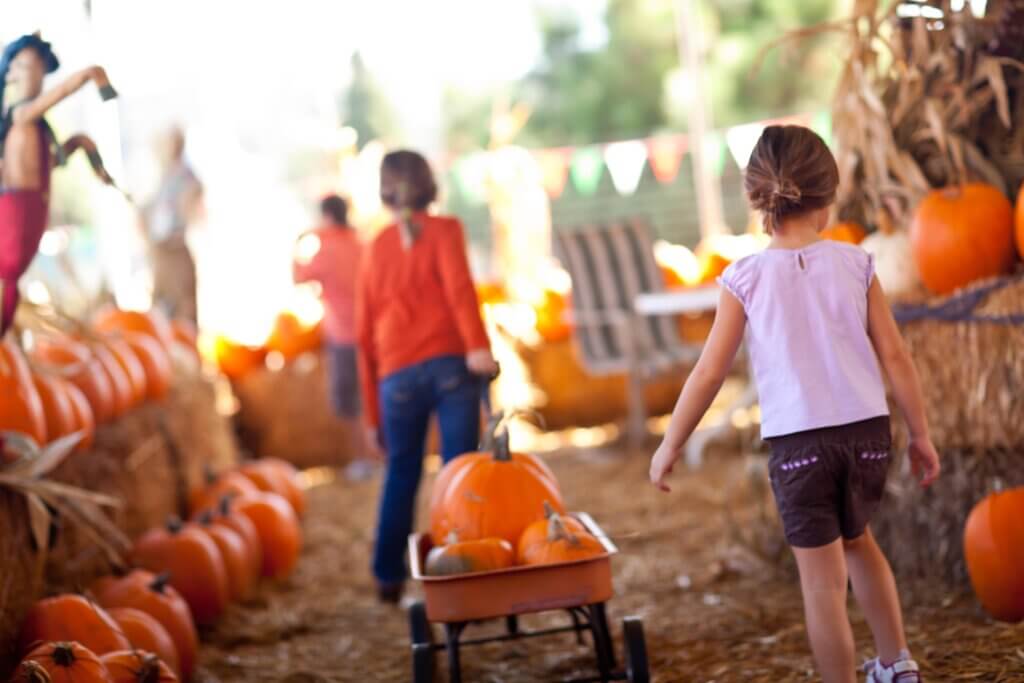 pumpkin patch Austin: kids pulling wagon with gourds