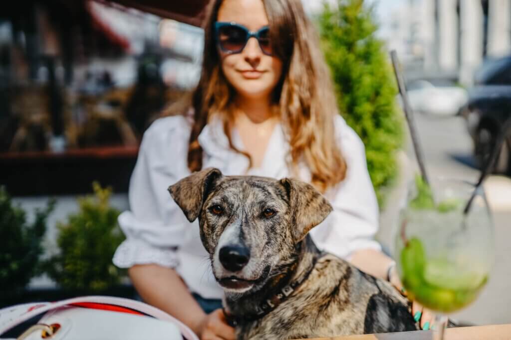 dog friendly restaurants in austin: dog sitting on woman's lap