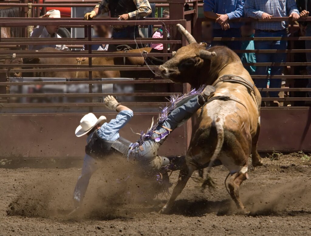 cowboy getting bucked off a horse 